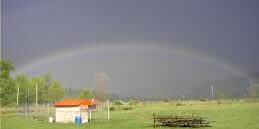 Field with rainbow